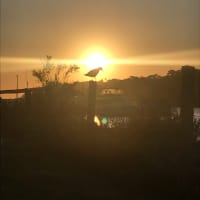 Photo by Bláthnaid Máire Kelly