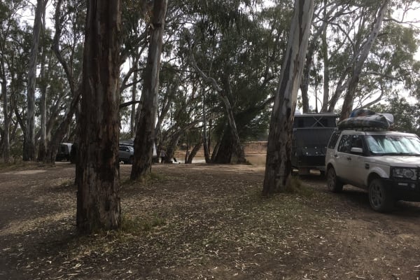 Photo by Karen Ann Richardson