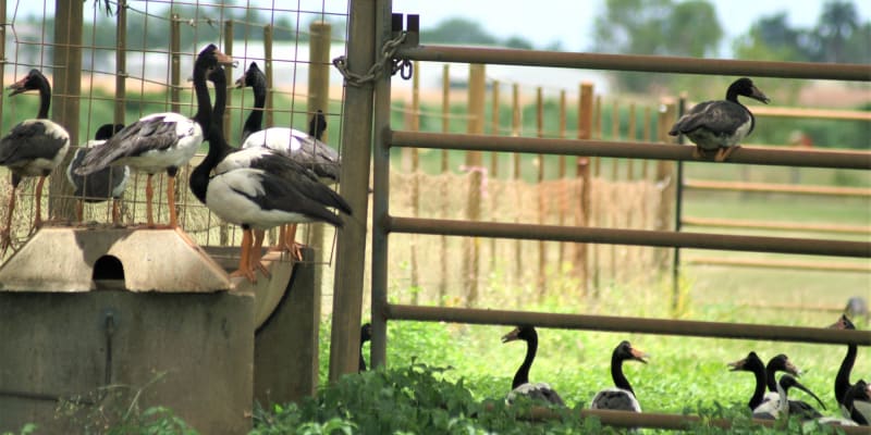 Photo by Robbie Robbins Reserve