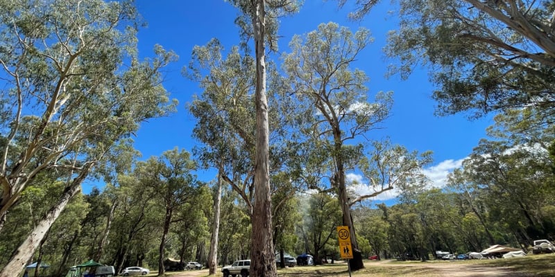 Photo by red truck reviews