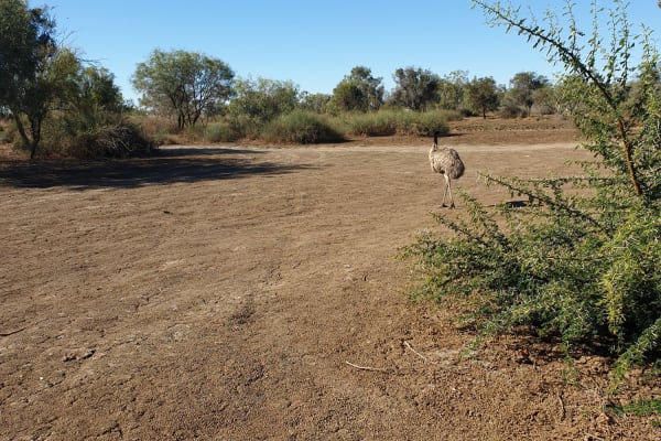 Photo by CATHERINE H.