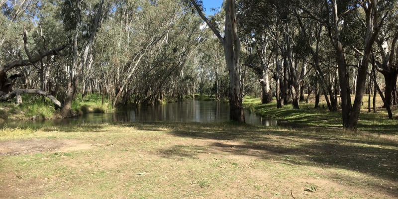 Photo by Karen Ann Richardson