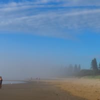 Photo by Lorraine A.