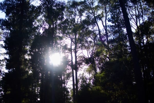 Photo by Jaspreet S.