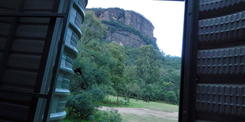 Photo by Tracy N David Ross