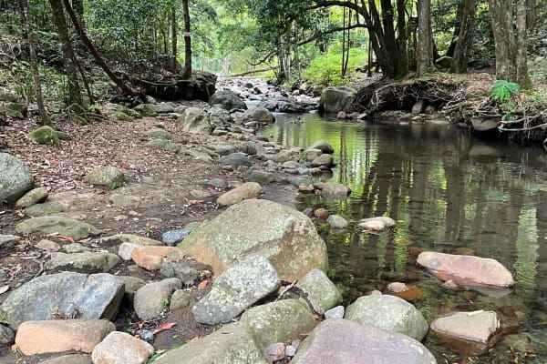 Photo by Courtney T.