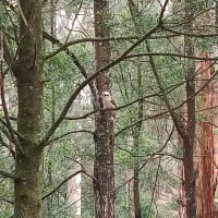 Photo by The road to anywhere