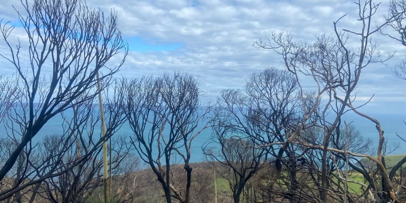 Photograph of Top 10 campsites that allow fires near Vivonne Bay, SA