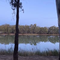 Photo by Leanne Koopman Gray