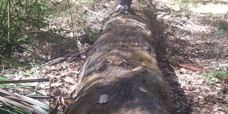 Photo by Stallion2454