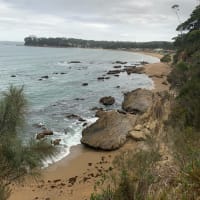 Photo by Poms Touring Australia