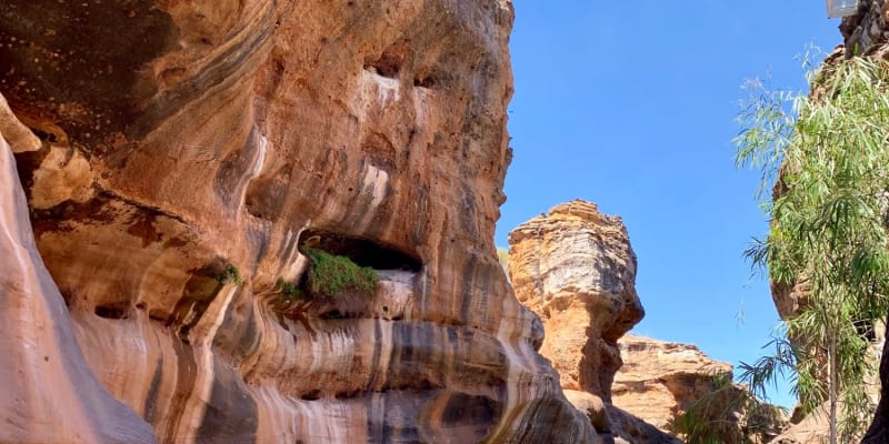 Photo by Corporate to Caravan