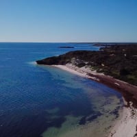 Photo by Four Hands in a Tin Can