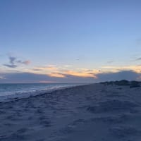 Photo by Elisabeth D.