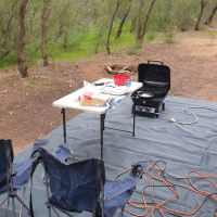 Photo by Kristine S.