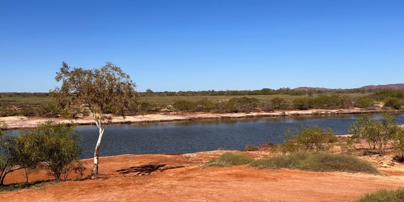 Photo by DelphinusBlue