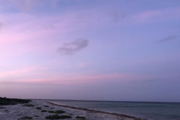 Photo by Jizelle 🌻.