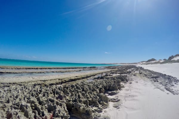 Photo by Kim & Shane