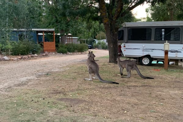 Photo by Kerri-lee M.