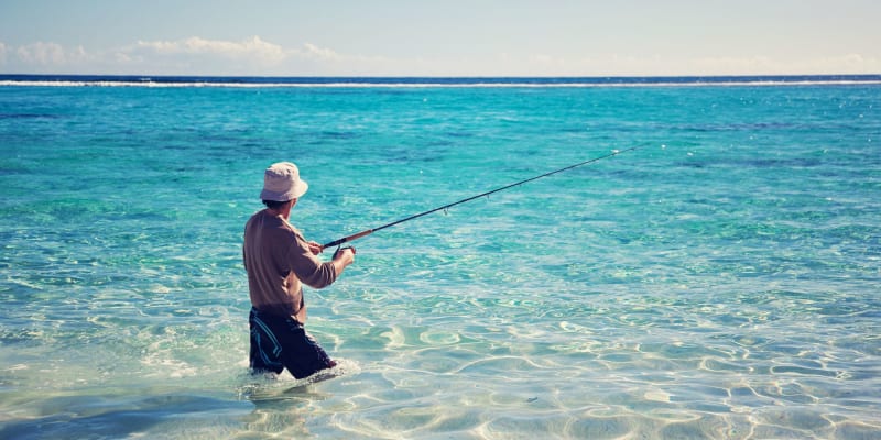 Photo by Marty and Muriel HORAK