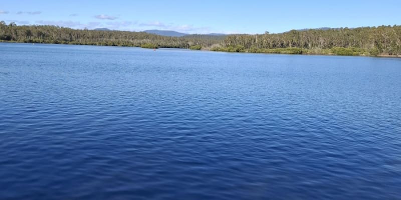 Photo by Kimberly K.