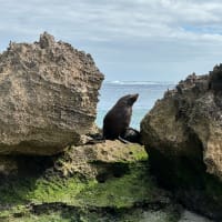 Photo by Happy Hour Hunters