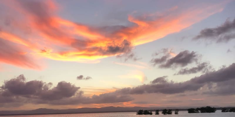 Photo by Samantha M.