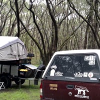 Photo by NightRanger D.