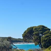 Photo by Catherine E.