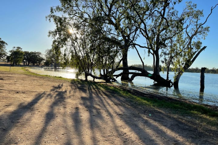 Photo by Caroline P.