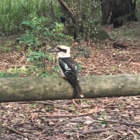 Photo by Christopher B.