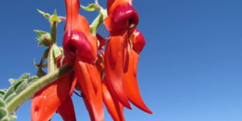 Photo by jennifer b.