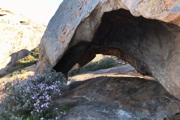 Photo by Rocío Labbé Cerda