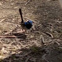 Photo by Gabrielle E.