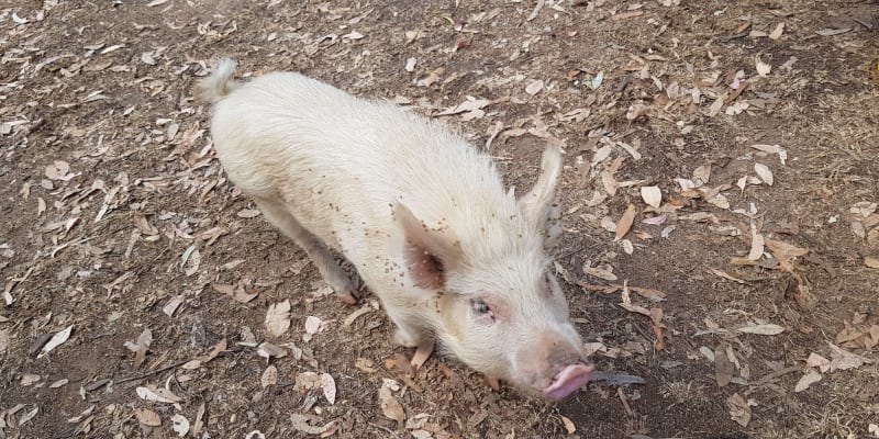 Photo of Granite Gorge Nature Park
