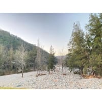 Photo by Catherine M.