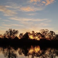 Photo by Michelle D.