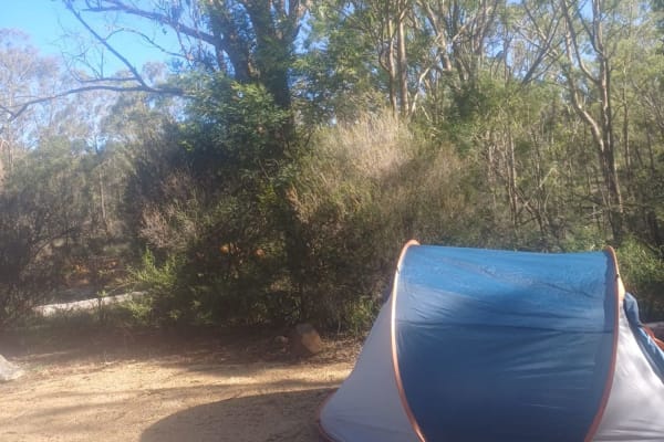 Photo by ★Mimosa☆Turlinjah★