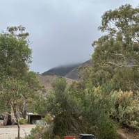 Photo by AnnMaree M.