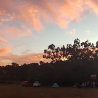 Photo by Olivia Bataligin Averkin