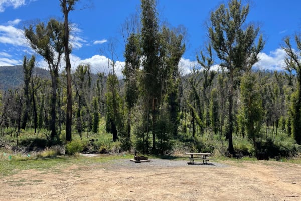 Photo by red truck reviews