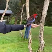 Photo by [deleted user]