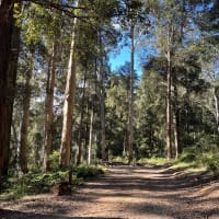 Photo by Eivi from Estonia