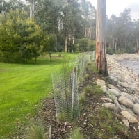 Photo by Samantha k.