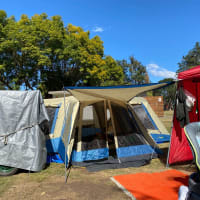 Photo by Cristina B.