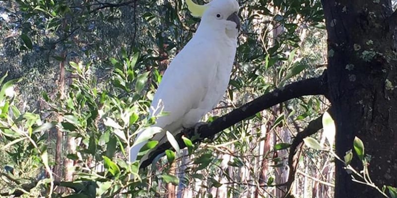 Photo by Muhammad T.