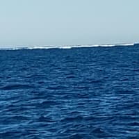 Photo by Colin van den Hoff