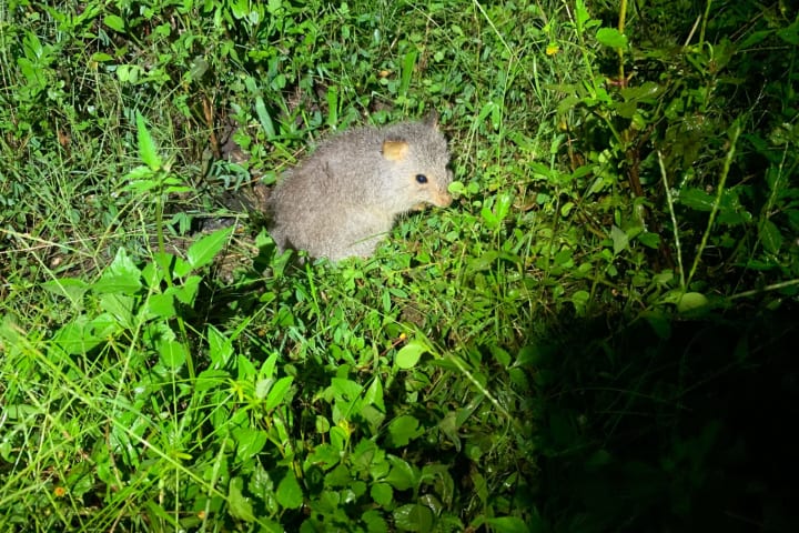 Photo by Off The Trax