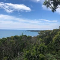 Photo by [deleted user]