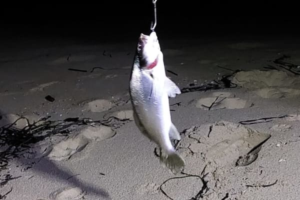 Photo by Tuan Rooster Nguyen